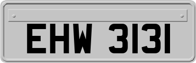 EHW3131