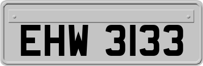 EHW3133