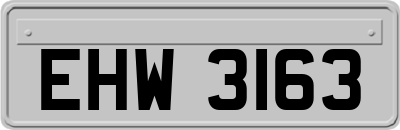 EHW3163