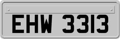 EHW3313