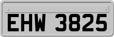 EHW3825