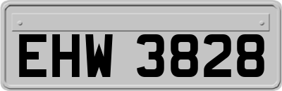 EHW3828