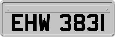 EHW3831