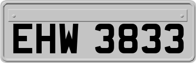 EHW3833