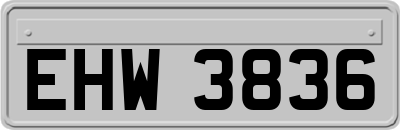 EHW3836