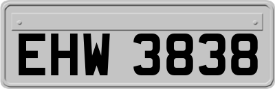 EHW3838