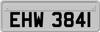 EHW3841