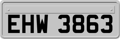EHW3863