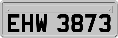 EHW3873