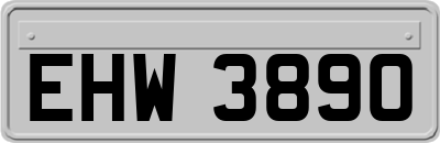 EHW3890
