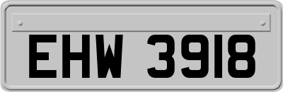 EHW3918