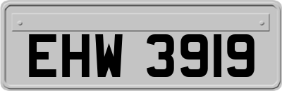 EHW3919