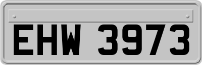 EHW3973