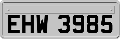 EHW3985