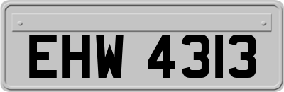 EHW4313
