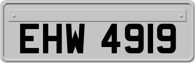 EHW4919