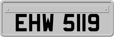 EHW5119