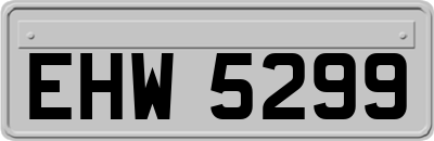 EHW5299