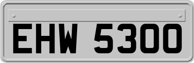 EHW5300