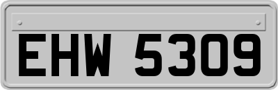 EHW5309