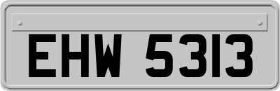 EHW5313