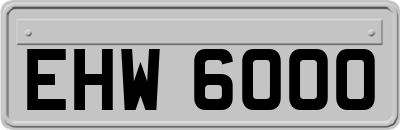 EHW6000