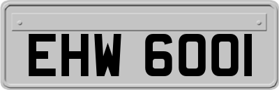 EHW6001