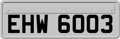 EHW6003