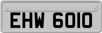 EHW6010