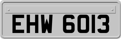 EHW6013