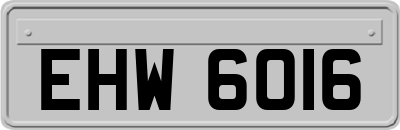 EHW6016