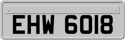 EHW6018