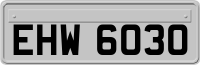 EHW6030