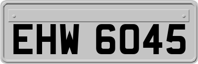 EHW6045
