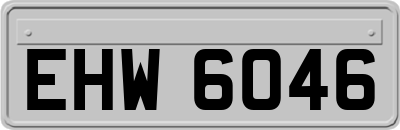 EHW6046