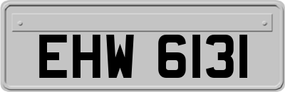 EHW6131