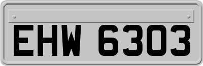 EHW6303