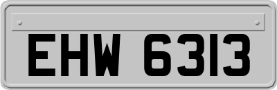 EHW6313