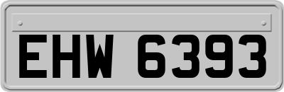 EHW6393