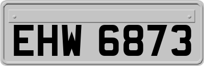 EHW6873