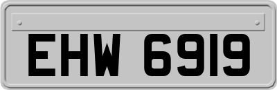 EHW6919