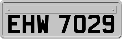 EHW7029