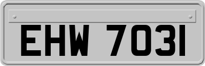 EHW7031