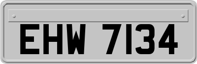 EHW7134