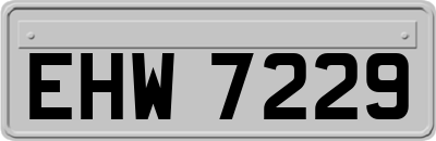 EHW7229