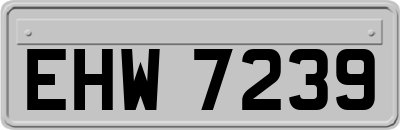 EHW7239