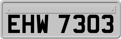 EHW7303
