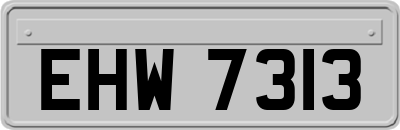 EHW7313