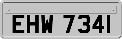 EHW7341