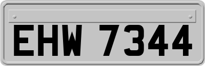 EHW7344